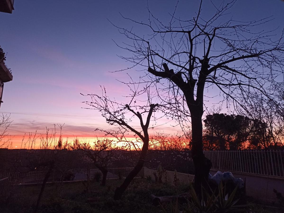 Ripe'S Forest Garden Guest House Rome Bagian luar foto