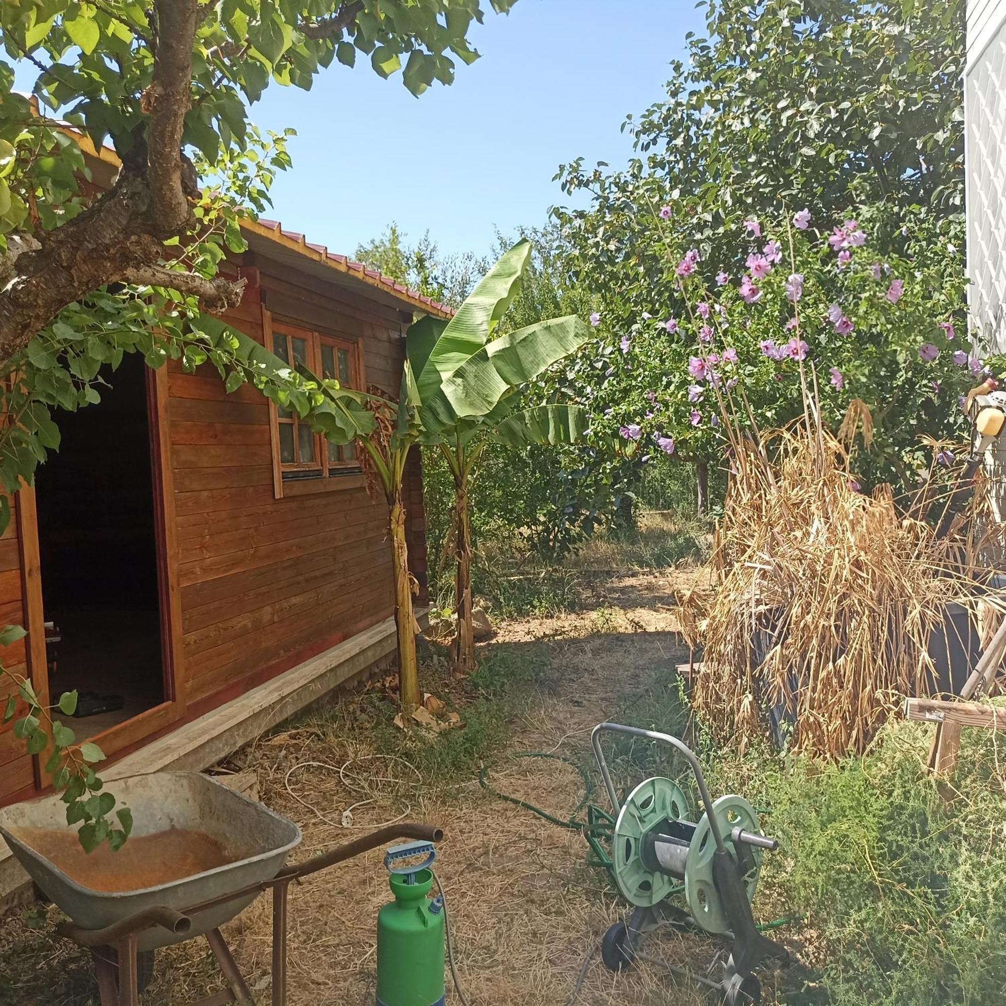 Ripe'S Forest Garden Guest House Rome Bagian luar foto